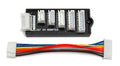 Reedy 2-6S XH Balance Board