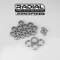 XRAY XB8, XB8e, XT8, XTEe 2024, 2025 Radial NMB Bearing Set, 22pc