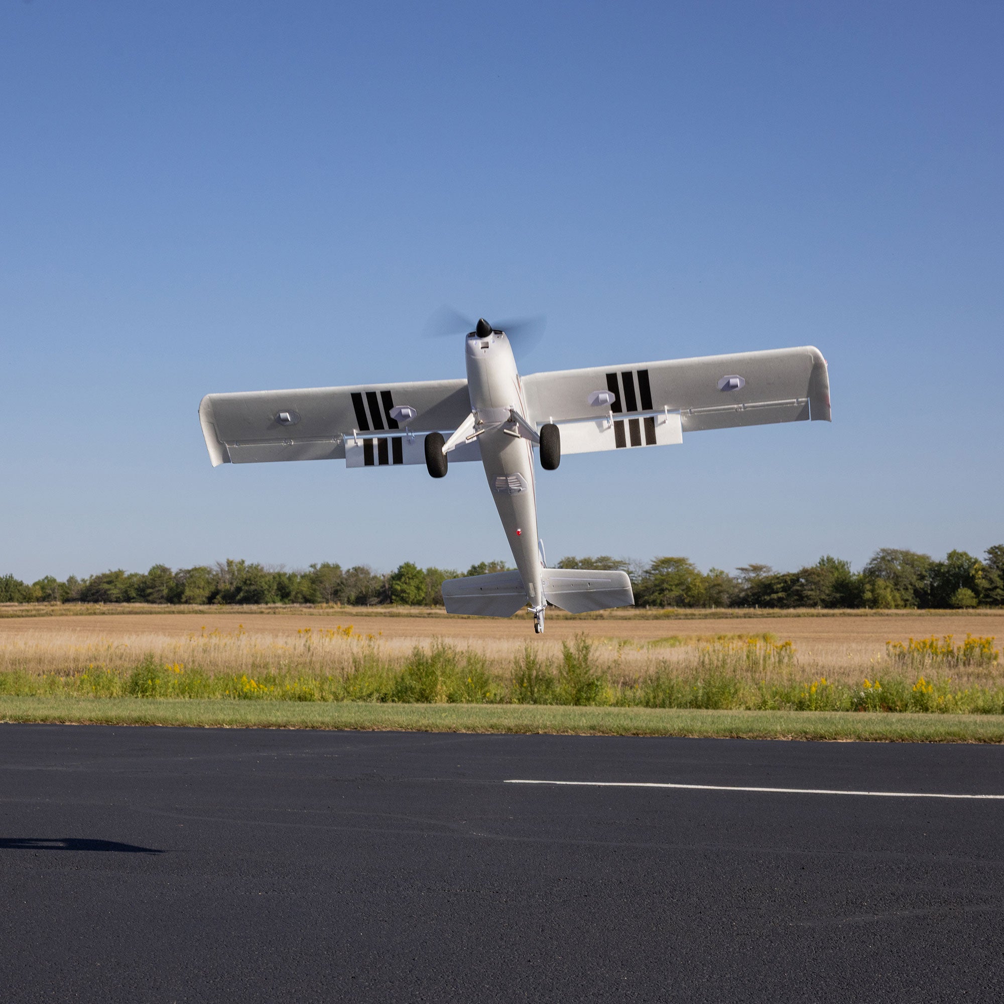 E-flite Timber 1.5m 10th Anniversary Special Edition BNF Basic with AS3X+ and SAFE Select