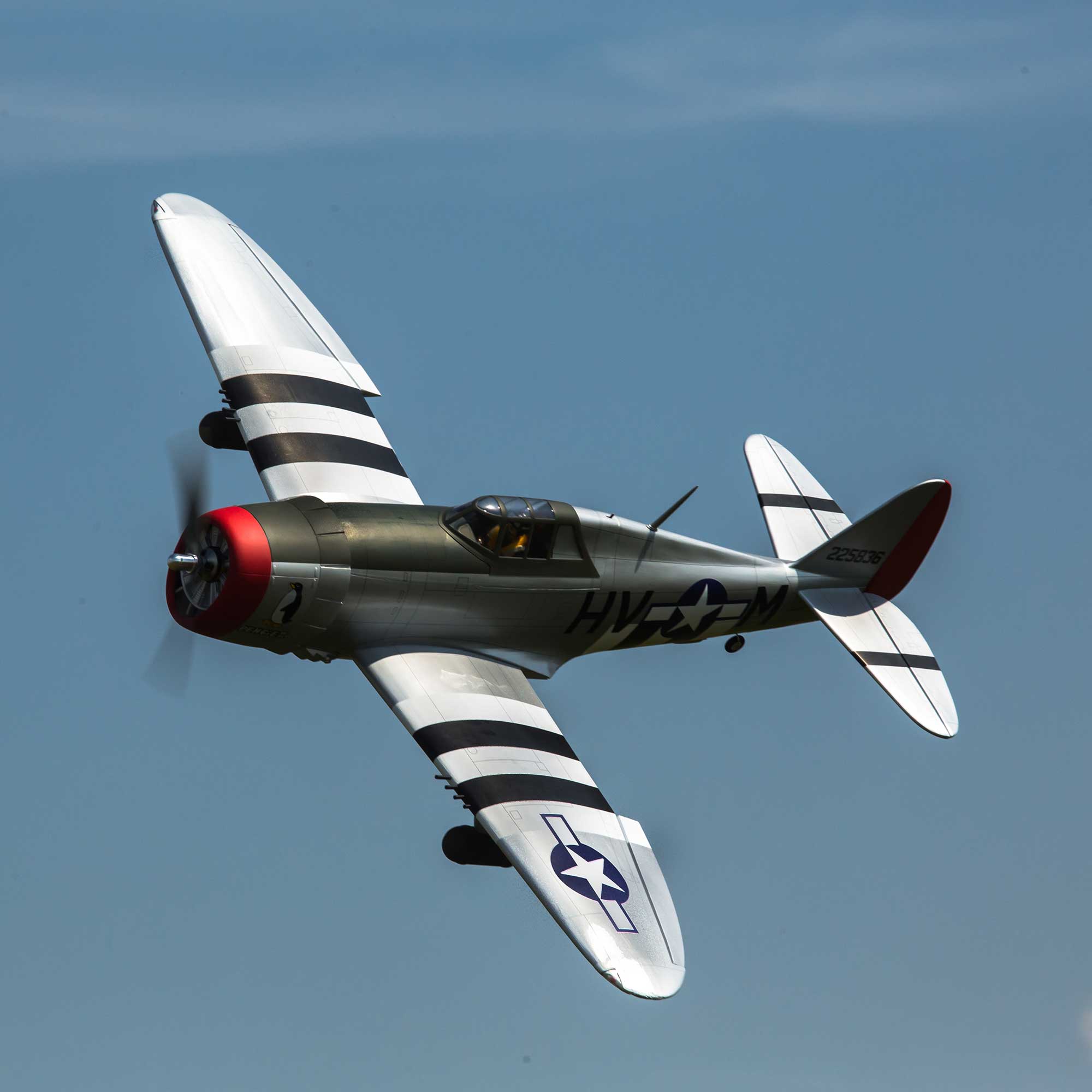 Hangar 9 P-47D Thunderbolt 20cc ARF with E-flite Electric Retract Set