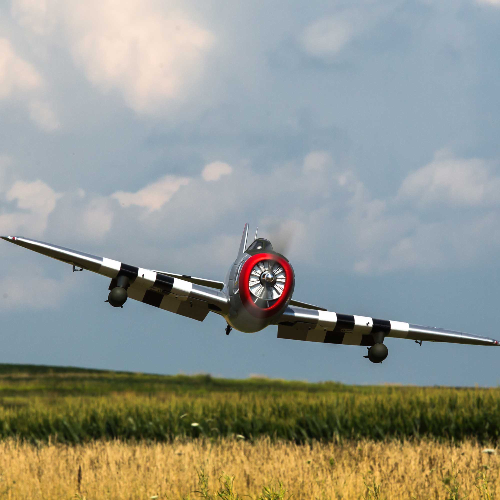 Hangar 9 P-47D Thunderbolt 20cc ARF with E-flite Electric Retract Set