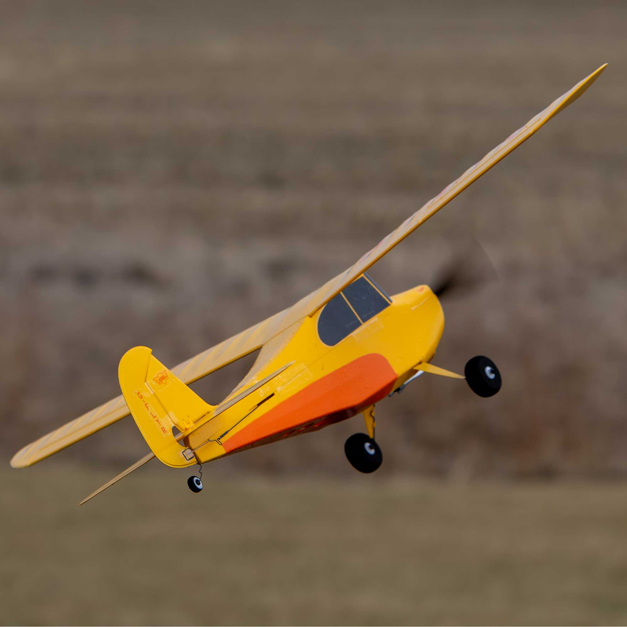 HobbyZone Champ Anniversary Special Edition 515mm BNF Basic with SAFE