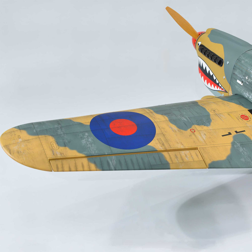 Phoenix Model P-40 Warhawk 35-55cc ARF