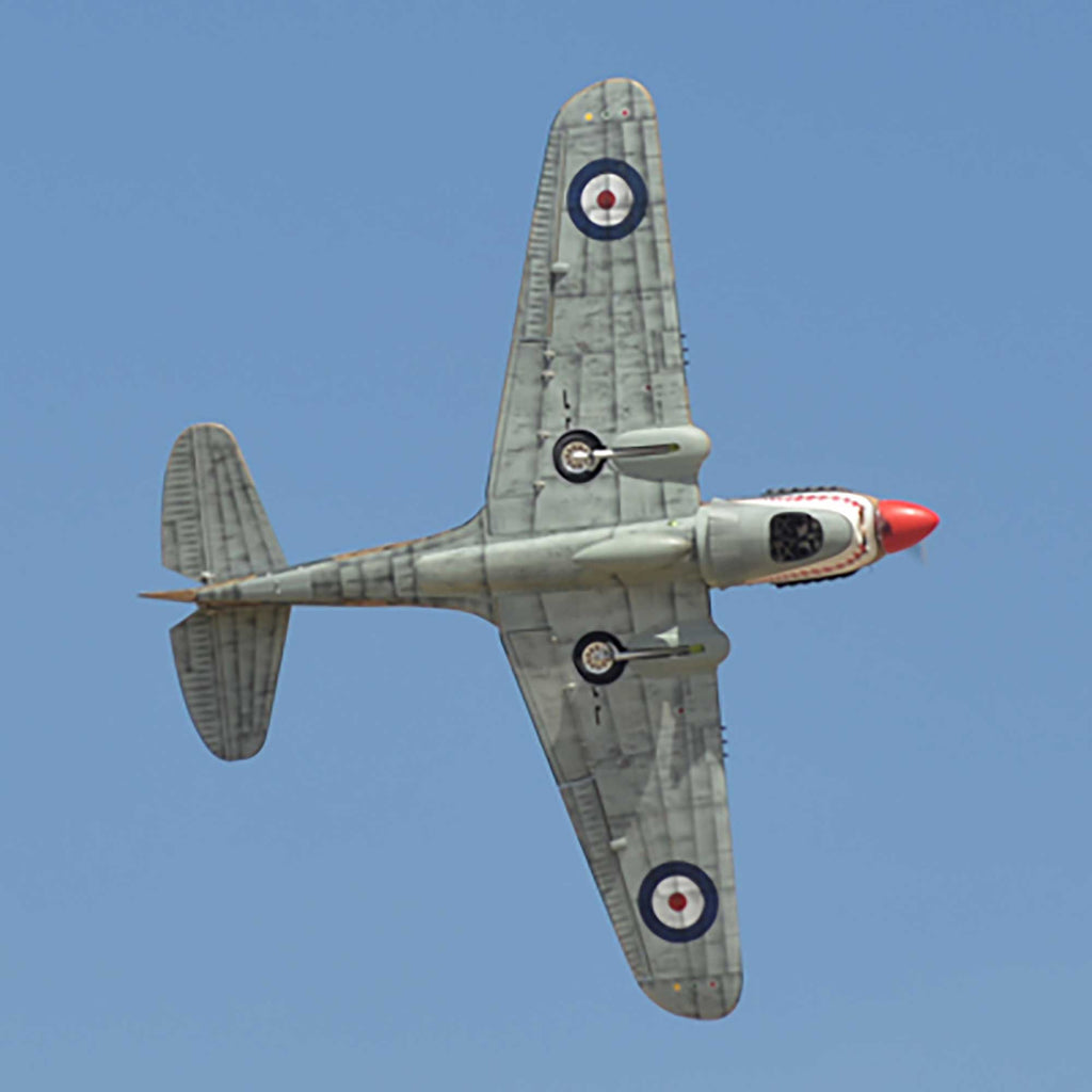 Phoenix Model P-40 Warhawk 35-55cc ARF