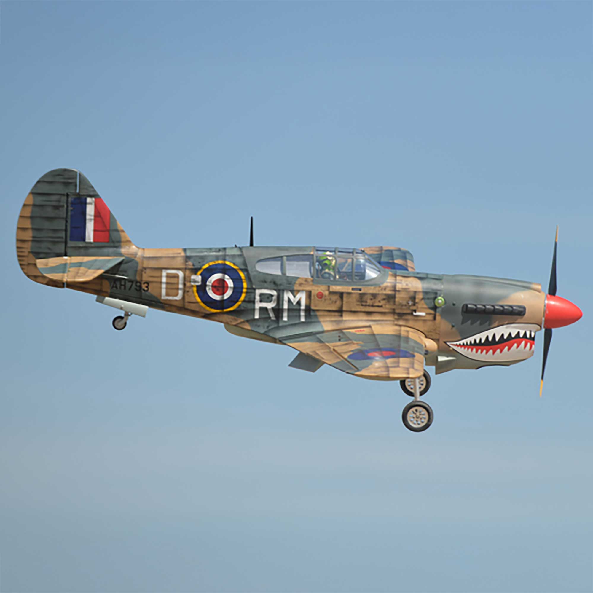 Phoenix Model P-40 Warhawk 35-55cc ARF
