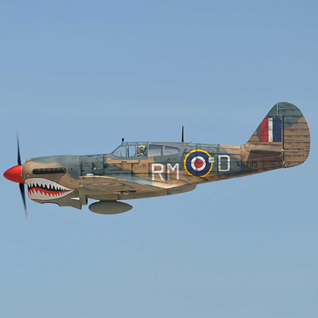 Phoenix Model P-40 Warhawk 35-55cc ARF