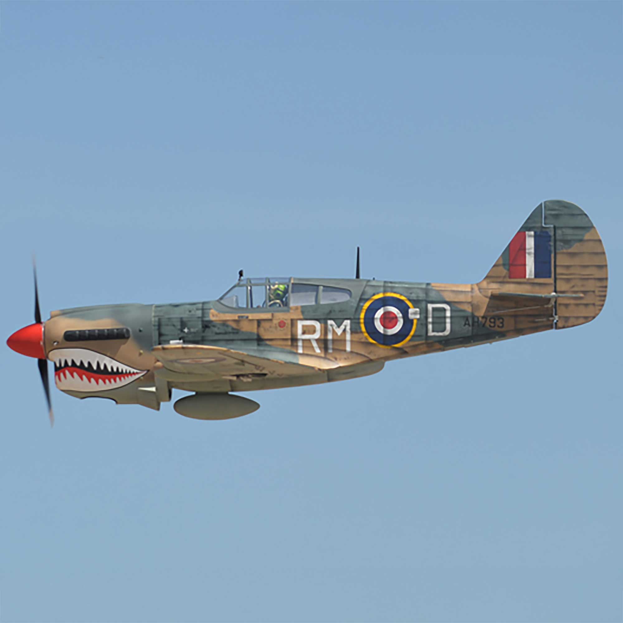 Phoenix Model P-40 Warhawk 35-55cc ARF