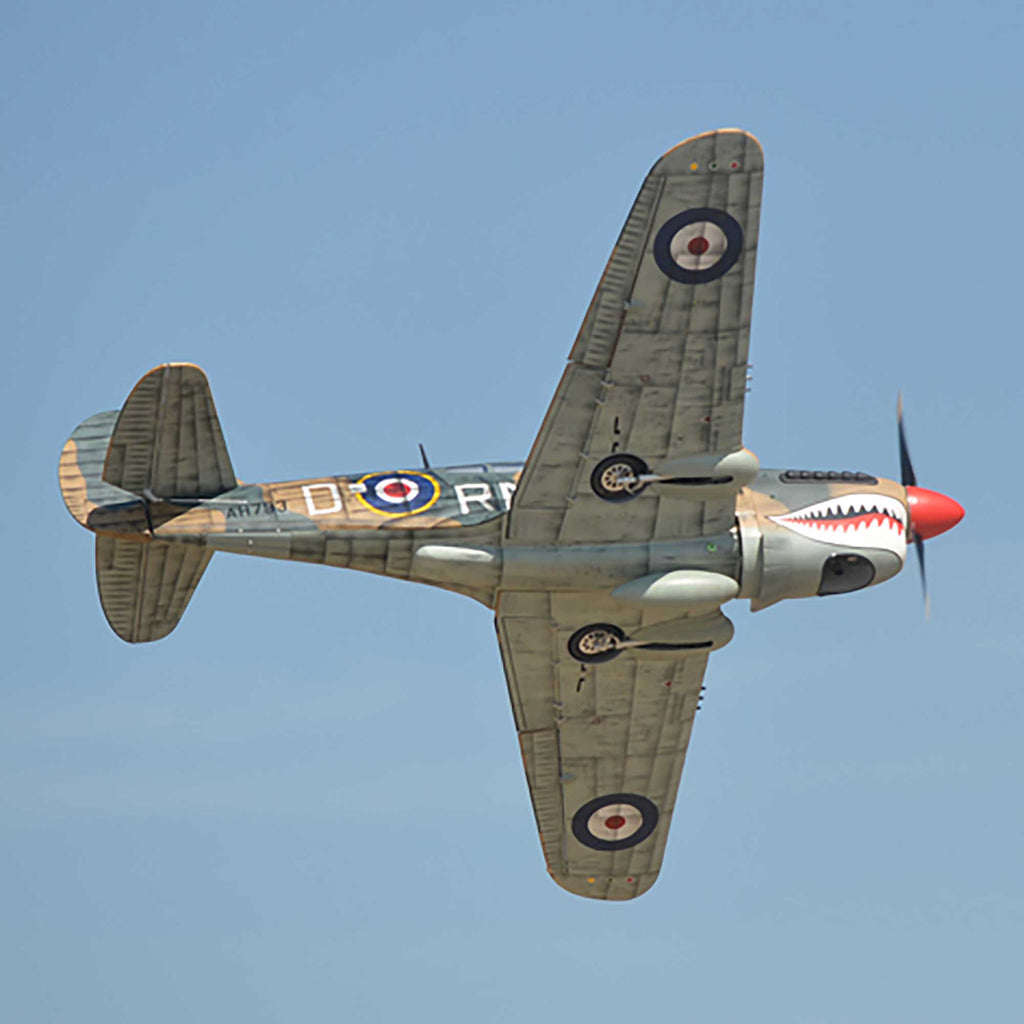 Phoenix Model P-40 Warhawk 35-55cc ARF