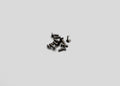 RX28-047 Reflex Racing RX28 M2x6 CS Head Screws (10pcs)