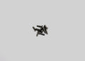 RX28-048 Reflex Racing RX28 M2x8 CS Head Screws (10pcs)