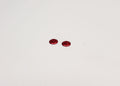 RX532RD Reflex Racing "Wing Things" - Red